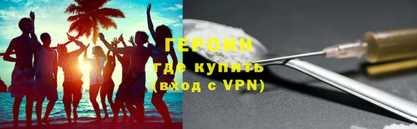 молекула духа Богданович