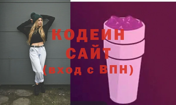 молекула духа Богданович