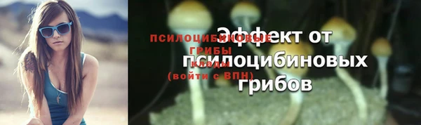 марки nbome Богородицк
