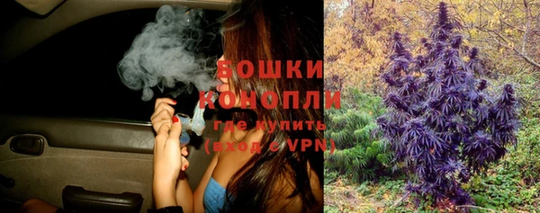 экстази Белокуриха