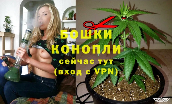 молекула духа Богданович