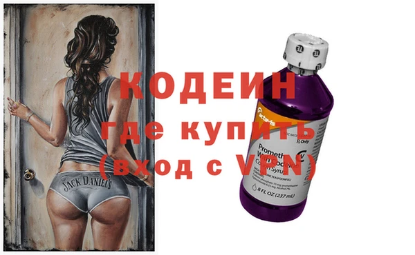 молекула духа Богданович